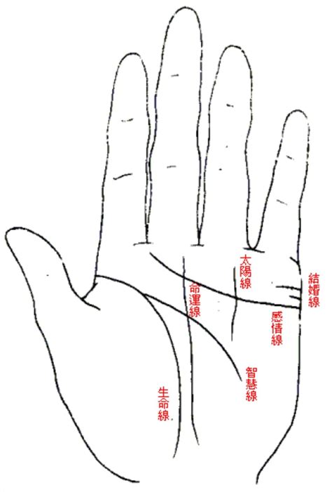 尾指下直紋|【手相館】掌紋 (生命線、感情線、智慧線、婚姻線、太陽線、火。